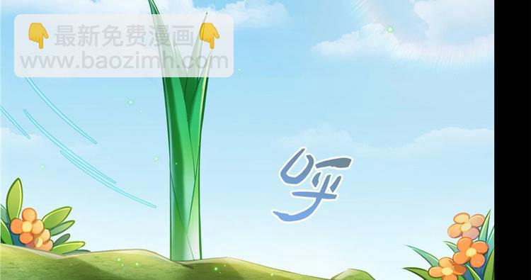 🍚修真聊天群 番外5 我？是一根葱？ 第33页