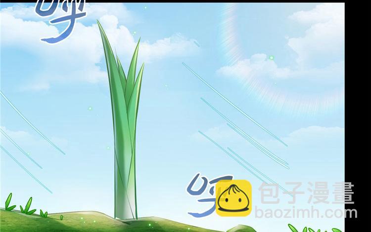 🍚修真聊天群 番外5 我？是一根葱？ 第40页