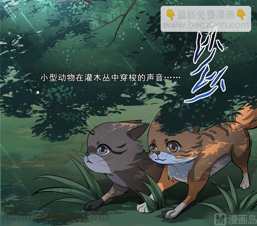 🍚修真聊天群 第169话 可怕的树枝探路法 第22页