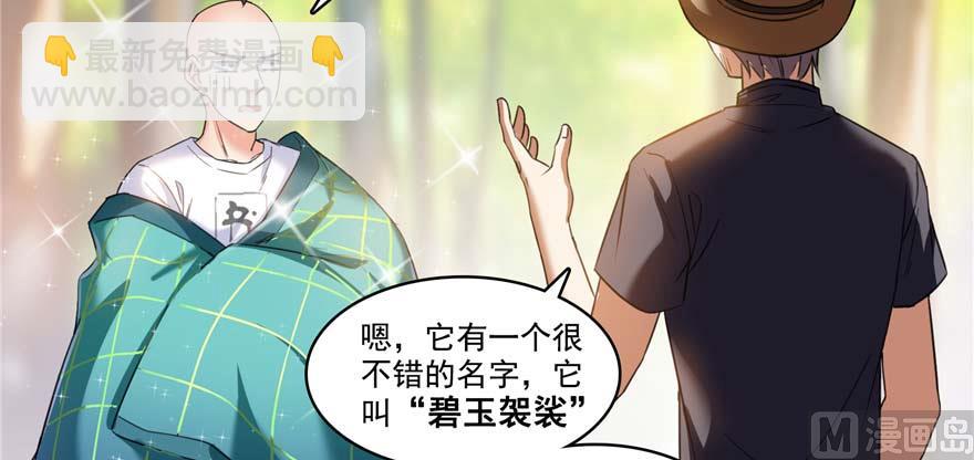 🍚修真聊天群 第247话 书航小友，你的袈裟 第44页