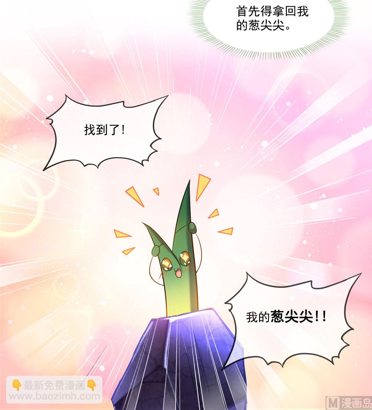 🍚修真聊天群 第258话 葱娘在行动 第13页