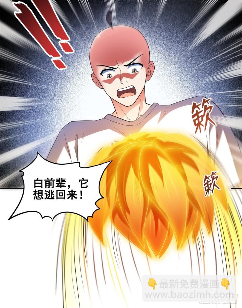 🍚修真聊天群 第366话  高升师兄，必须死 第25页