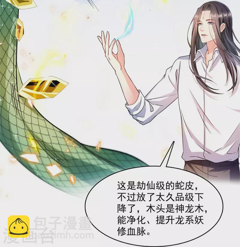 🍚修真聊天群 第438话 白前辈的计划B 第32页