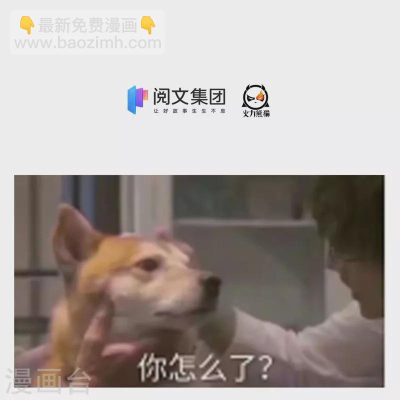 🍚修真聊天群 第438话 白前辈的计划B 第41页