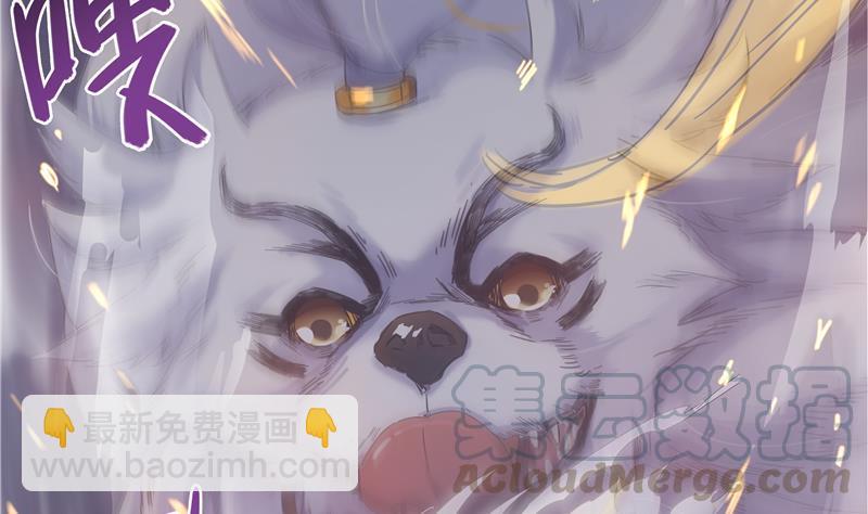 🍚修真聊天群 第71话 大狗：借你账号一用！ 第17页