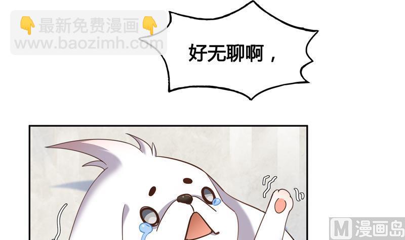 🍚修真聊天群 第73话 你的狗老公 第36页