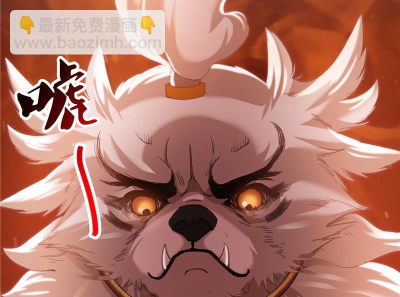 🍚修真聊天群 第91话 空空盗门糖少主 第10页
