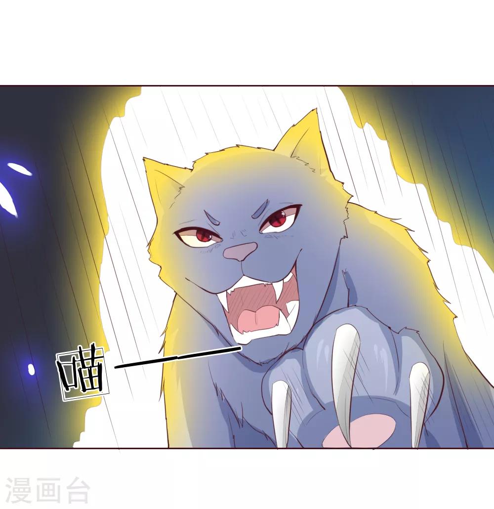 第228话 休想伤害球球！-第187话
