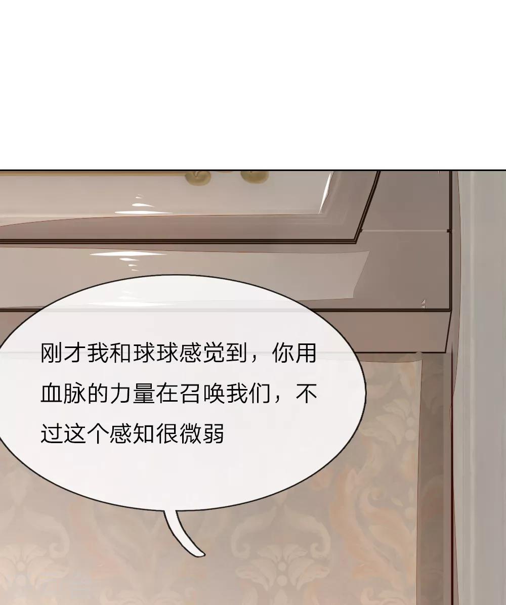 第244话 血脉之力的召唤-第203话