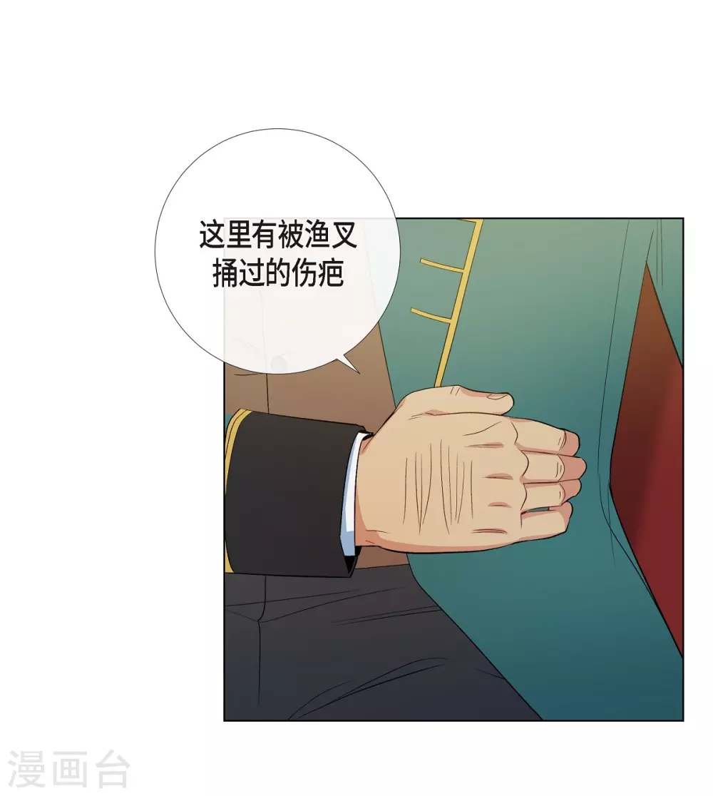 第71话 番外20(1/2)-第71话