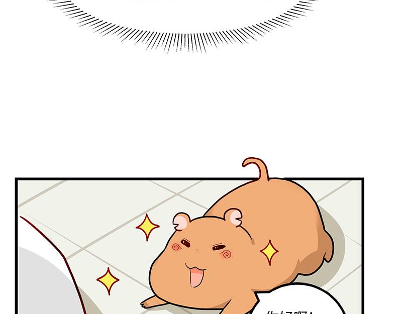 第1话 免费的大房子？(1/2)-第1话