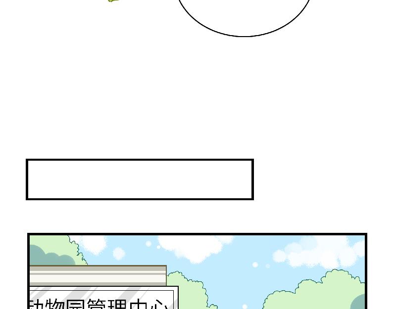 第11话 动物园求职记(1/2)-第11话