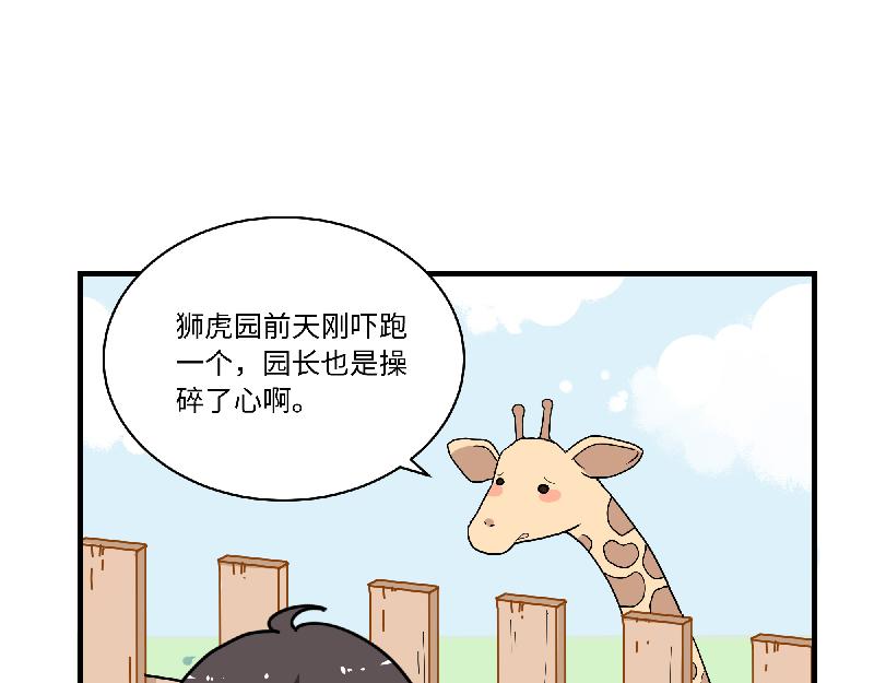 第11话 动物园求职记(1/2)-第11话