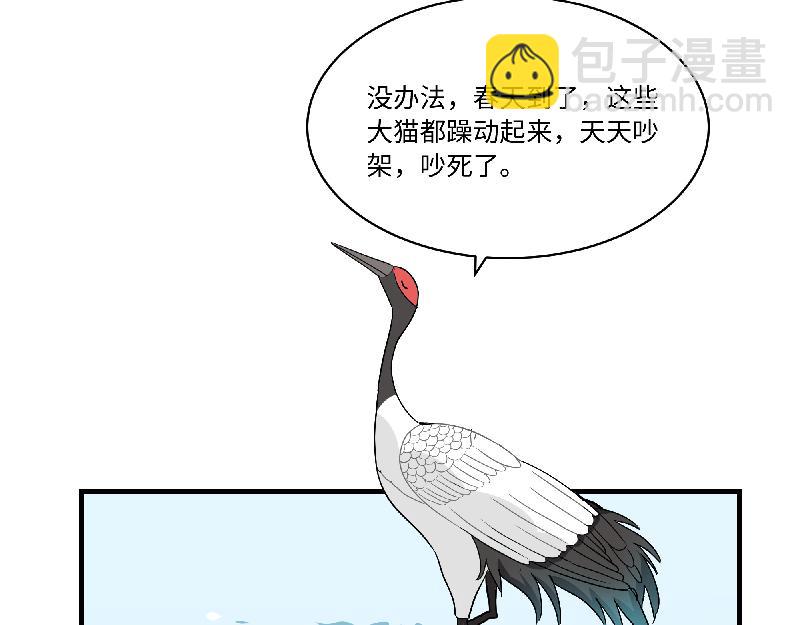 第11话 动物园求职记(1/2)-第11话