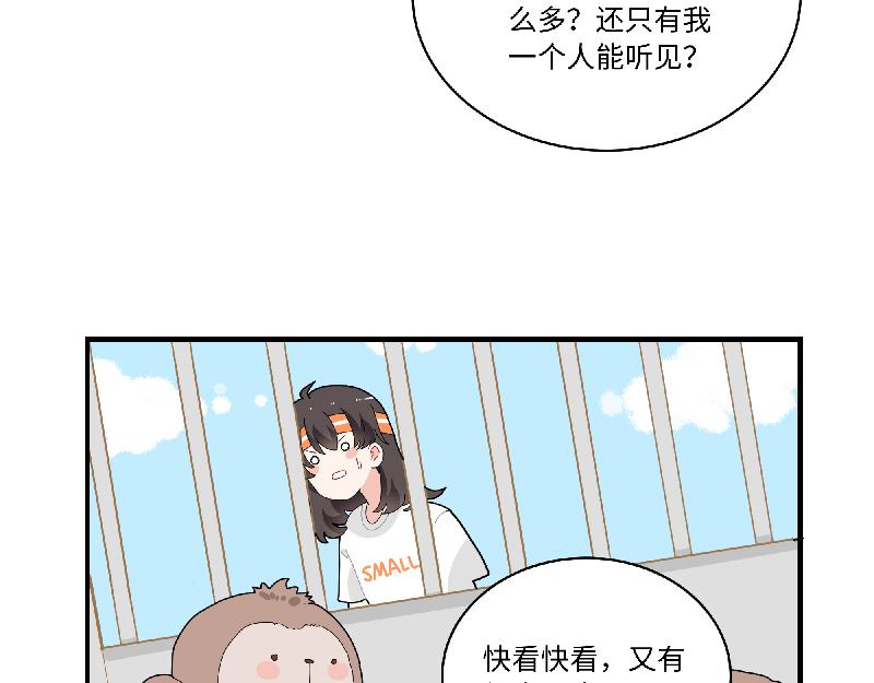 第11话 动物园求职记(1/2)-第11话