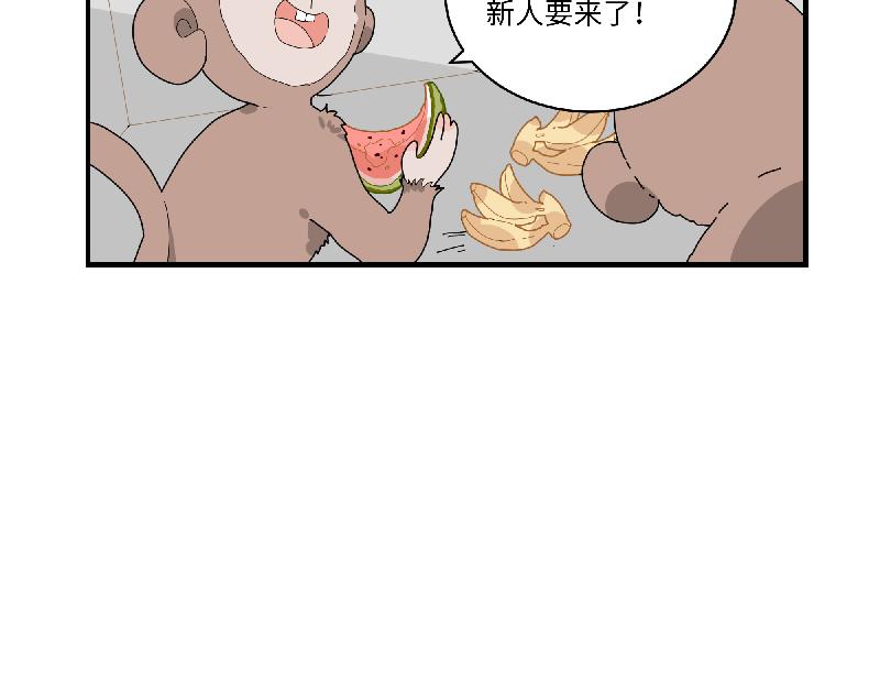 第11话 动物园求职记(1/2)-第11话