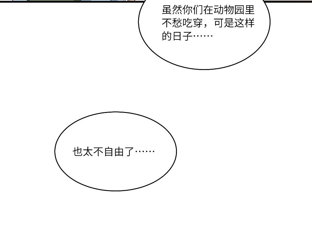 第13话 动物园的神秘游客-第13话