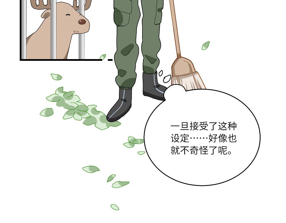 第13话 动物园的神秘游客-第13话
