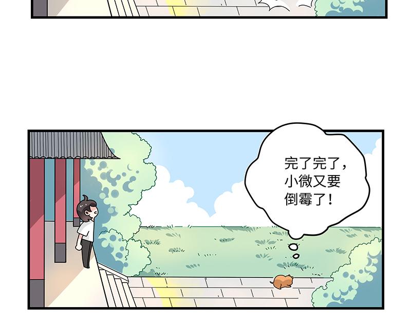 第3话 小微不信邪(1/2)-第3话