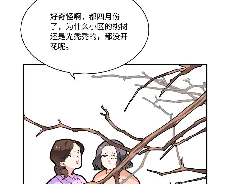 第5话 地下室的秘密-第5话