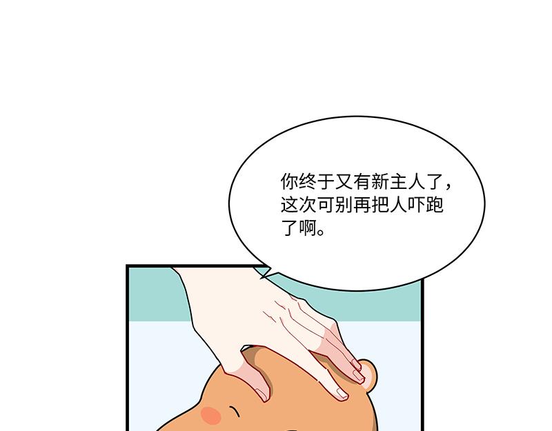 第7话 寻找桃灵-第7话