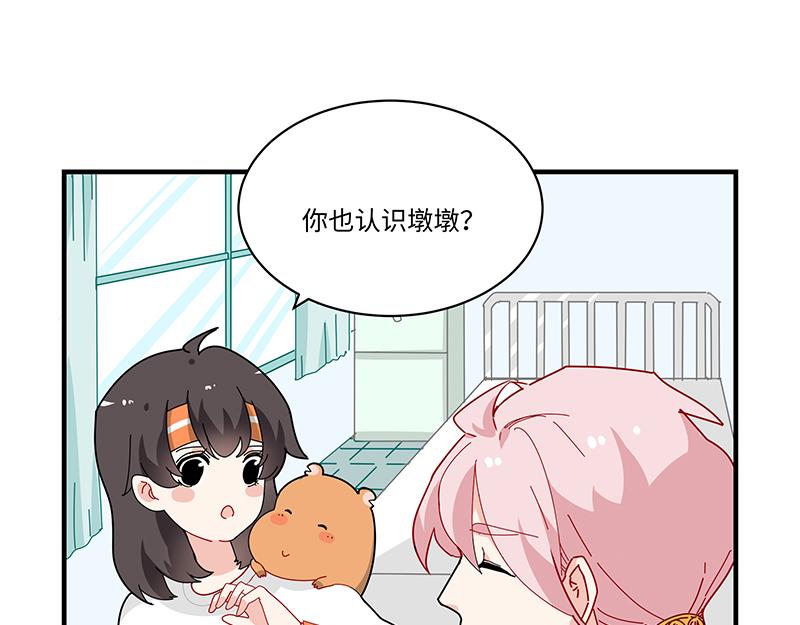 第7话 寻找桃灵-第7话