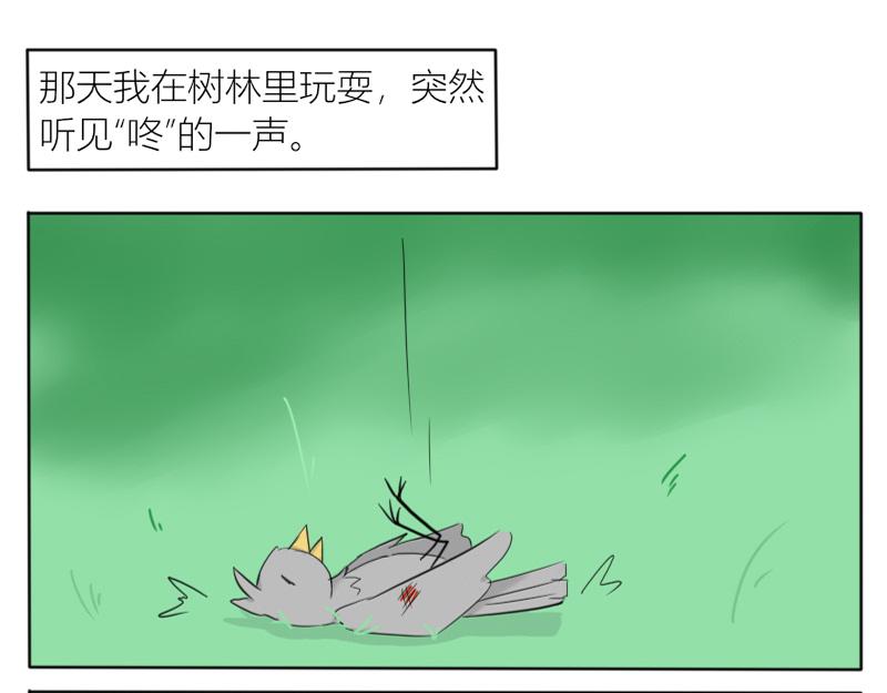 🍚玄易录 飞鸟与女孩 第1页