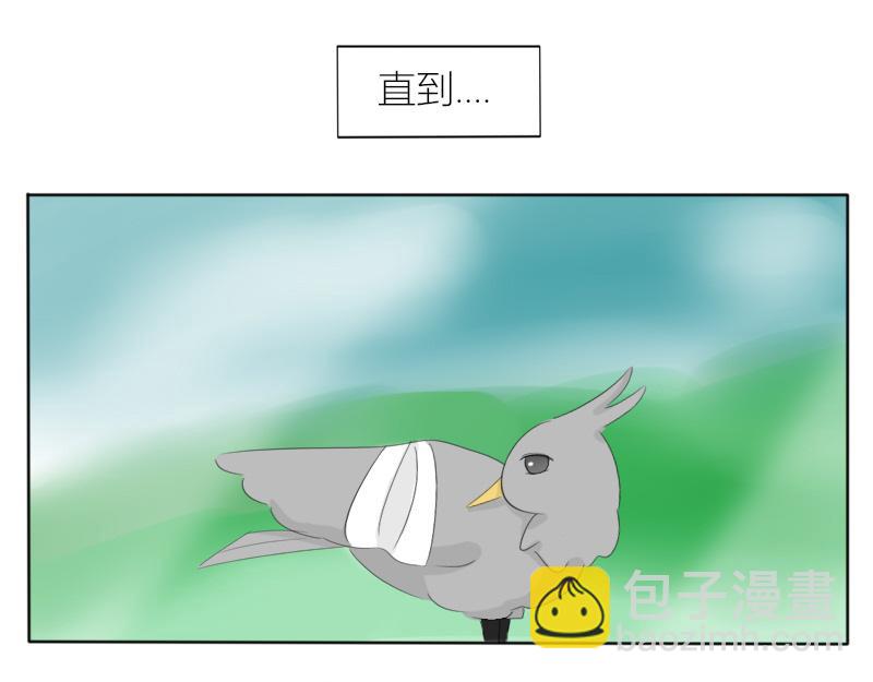 🍚玄易录 飞鸟与女孩 第10页