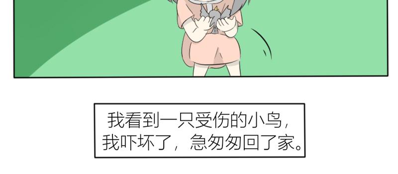 🍚玄易录 飞鸟与女孩 第3页