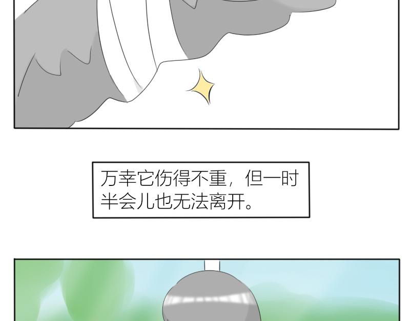 🍚玄易录 飞鸟与女孩 第5页
