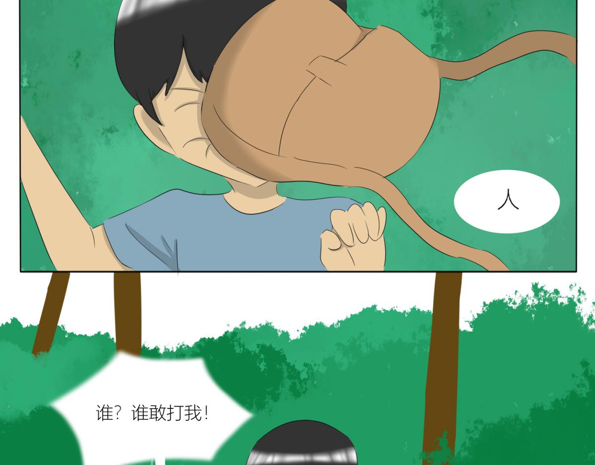 🍚玄易录 难以改变的是命运 第29页
