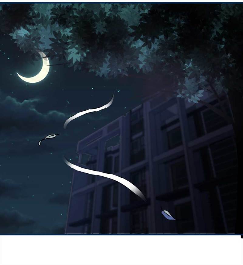 102-寻爱者（中）(1/2)-第75话
