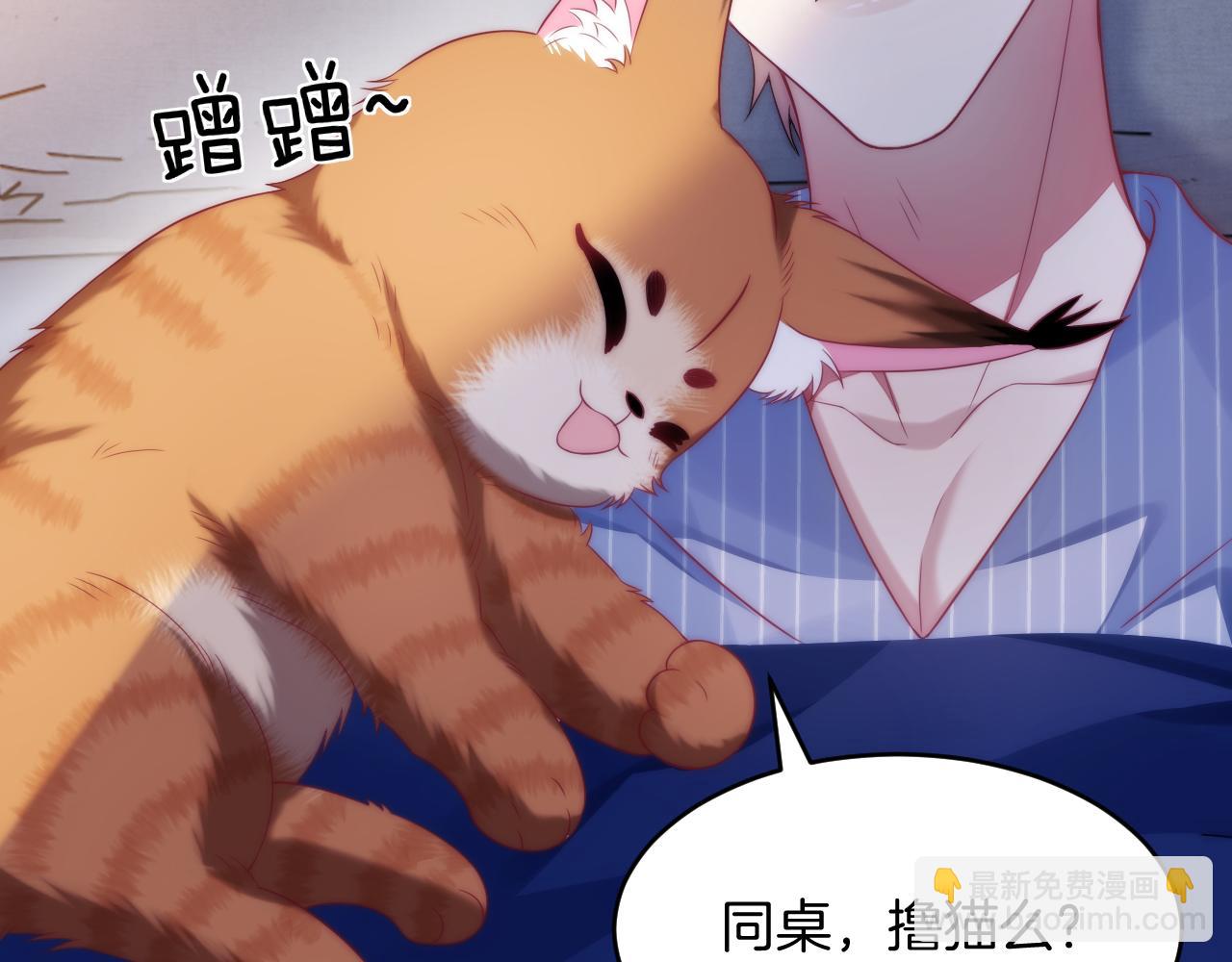 第16话 半夜吸猫(1/2)-第17话