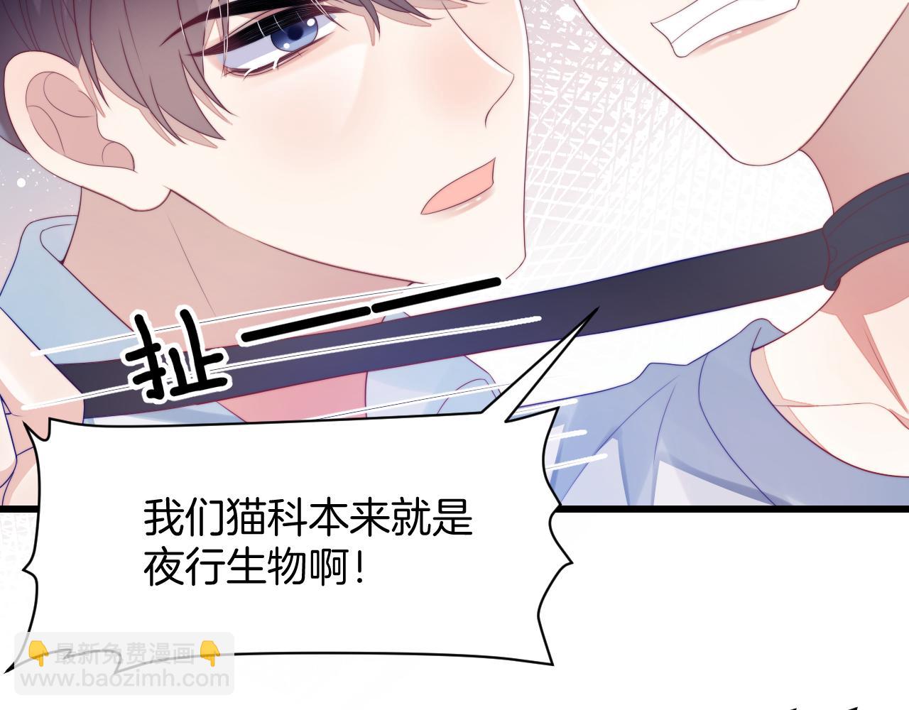 第40话 坏猫，不知好歹！(1/2)-第41话