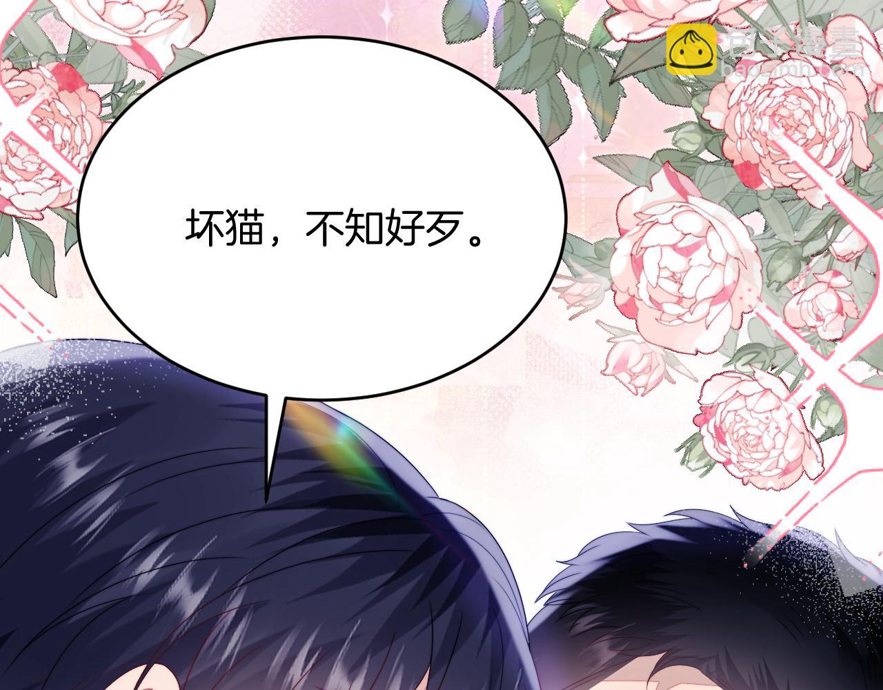 第40话 坏猫，不知好歹！(1/2)-第41话