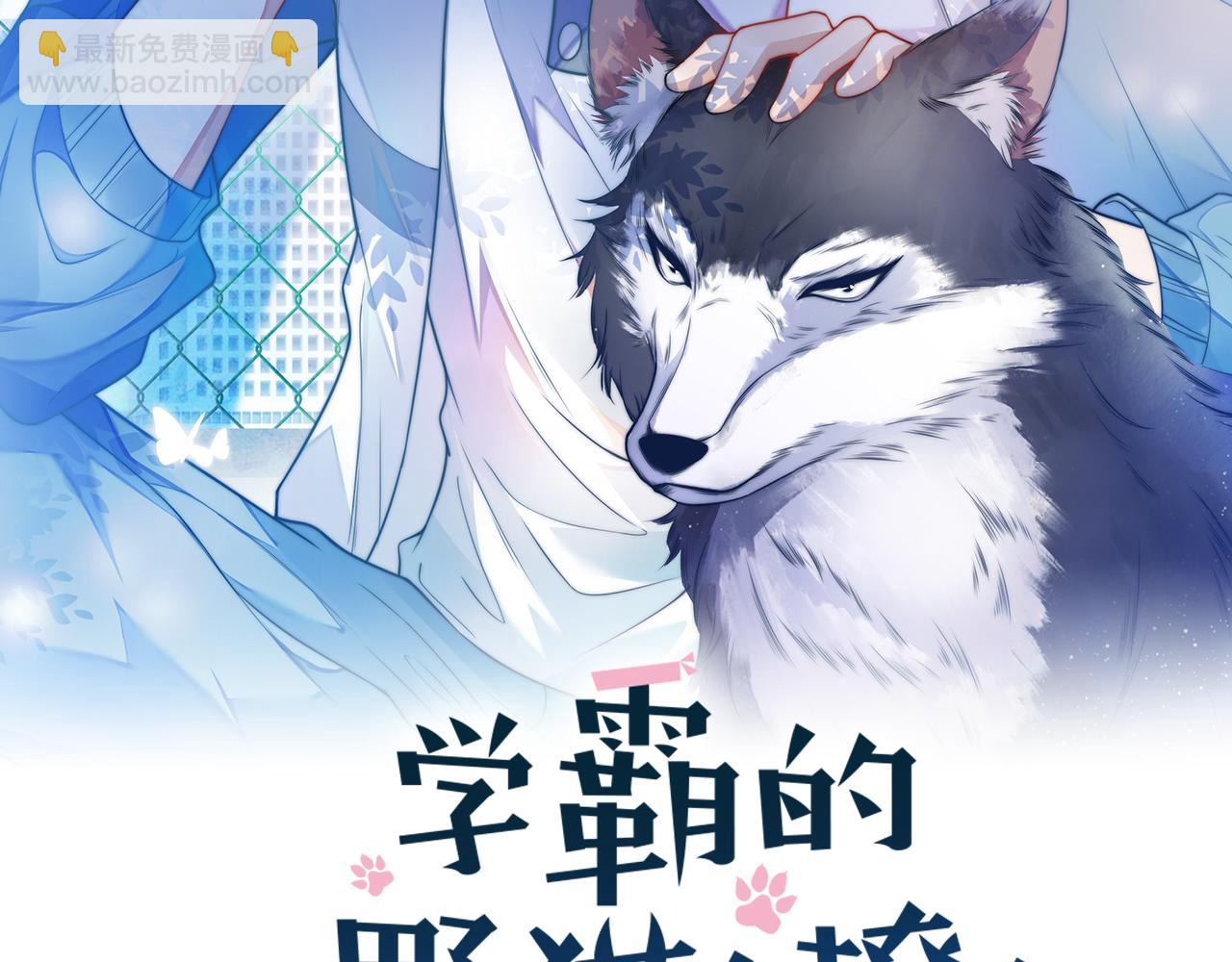第54话  我很心疼你(1/2)-第55话
