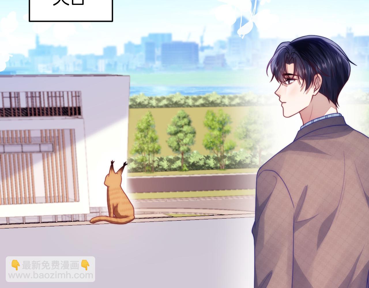 第80话 猫的爱很简单(1/2)-第81话