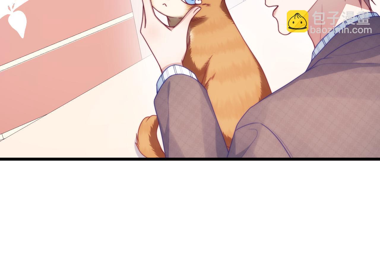 第80话 猫的爱很简单(1/2)-第81话