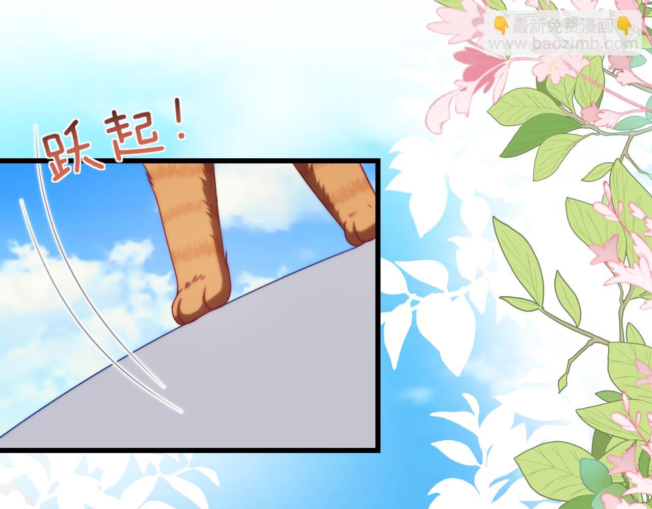 第80话 猫的爱很简单(1/2)-第81话