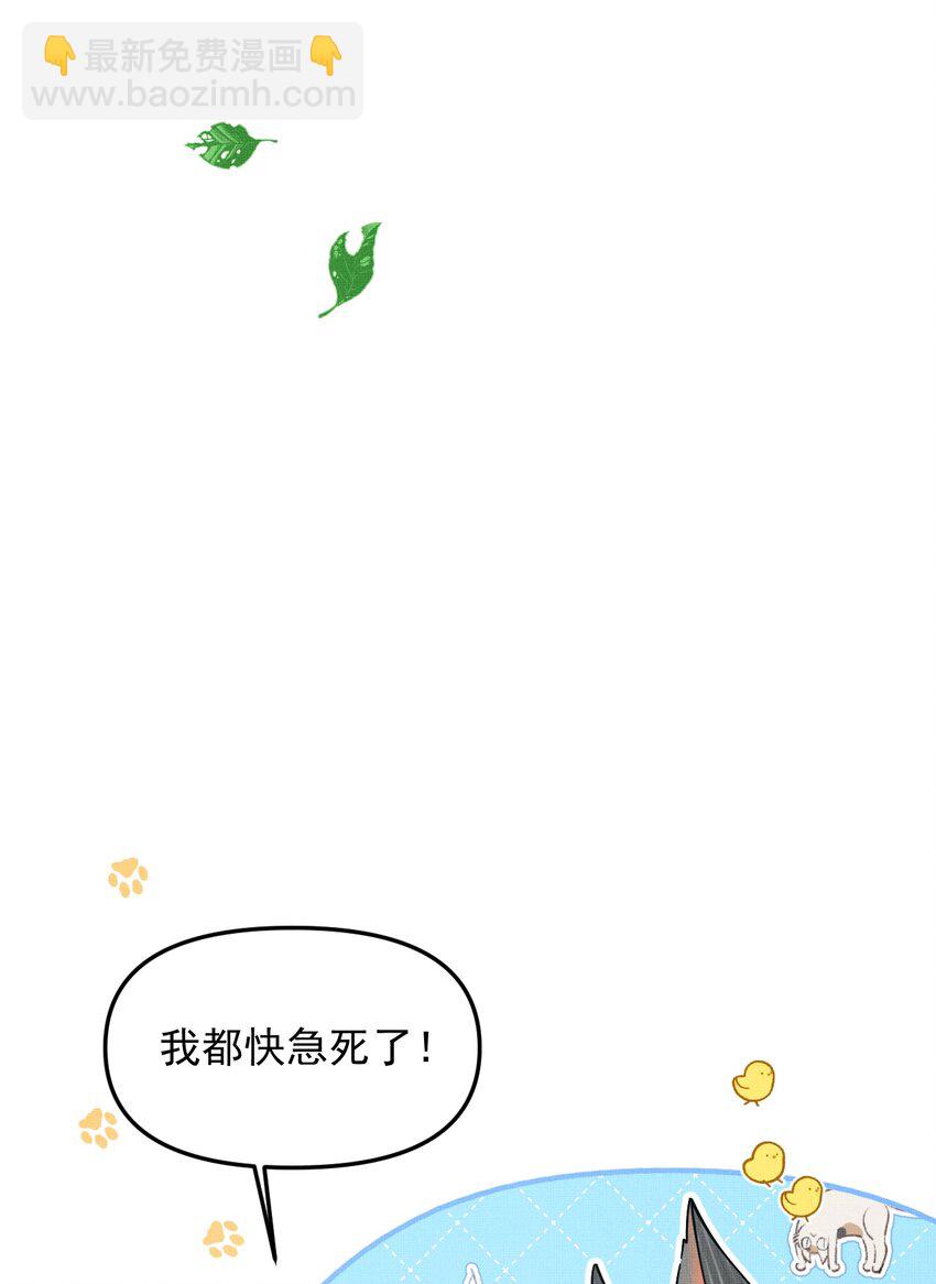 047 椒美人，保密，保密！(1/2)-第51话