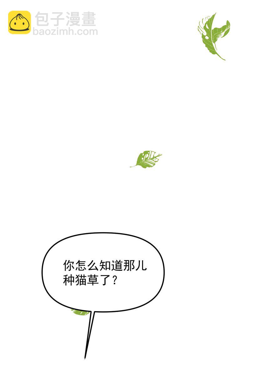 049 他种了好多猫草诶～？(1/2)-第53话