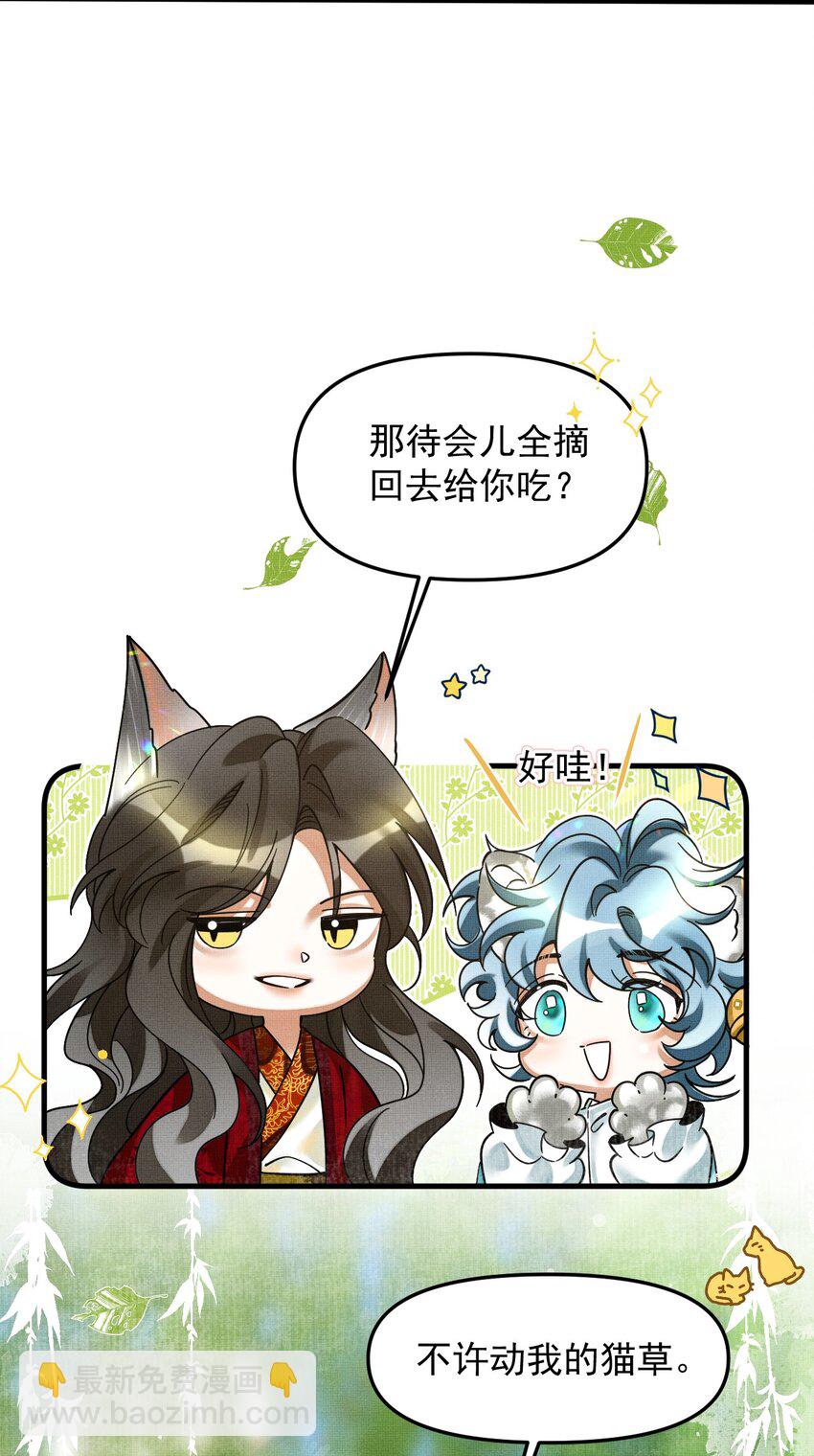 049 他种了好多猫草诶～？(1/2)-第53话