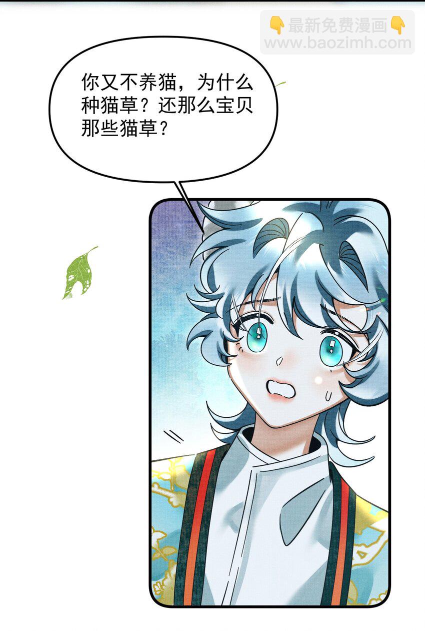 049 他种了好多猫草诶～？(1/2)-第53话
