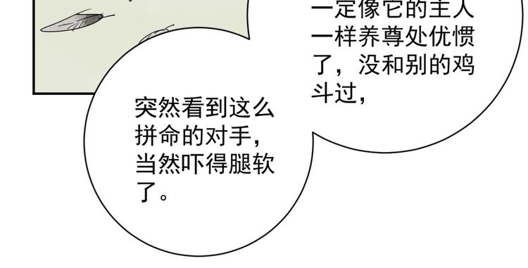 第3话 斗鸡（三）(1/2)-第3话