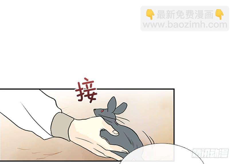 求饶-第217话