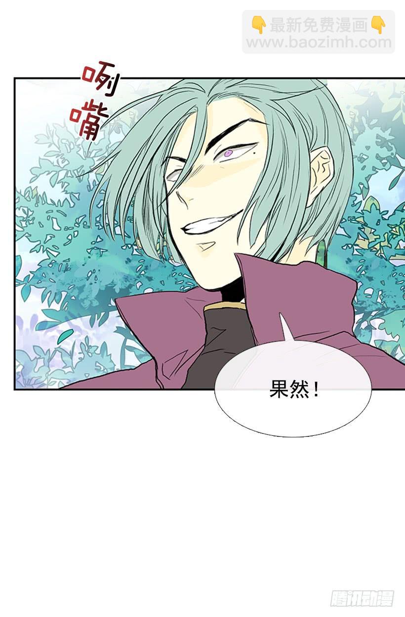 比试-第261话