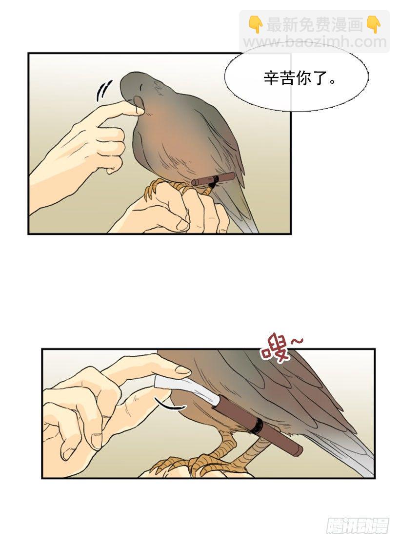 飞鸽传书-第33话