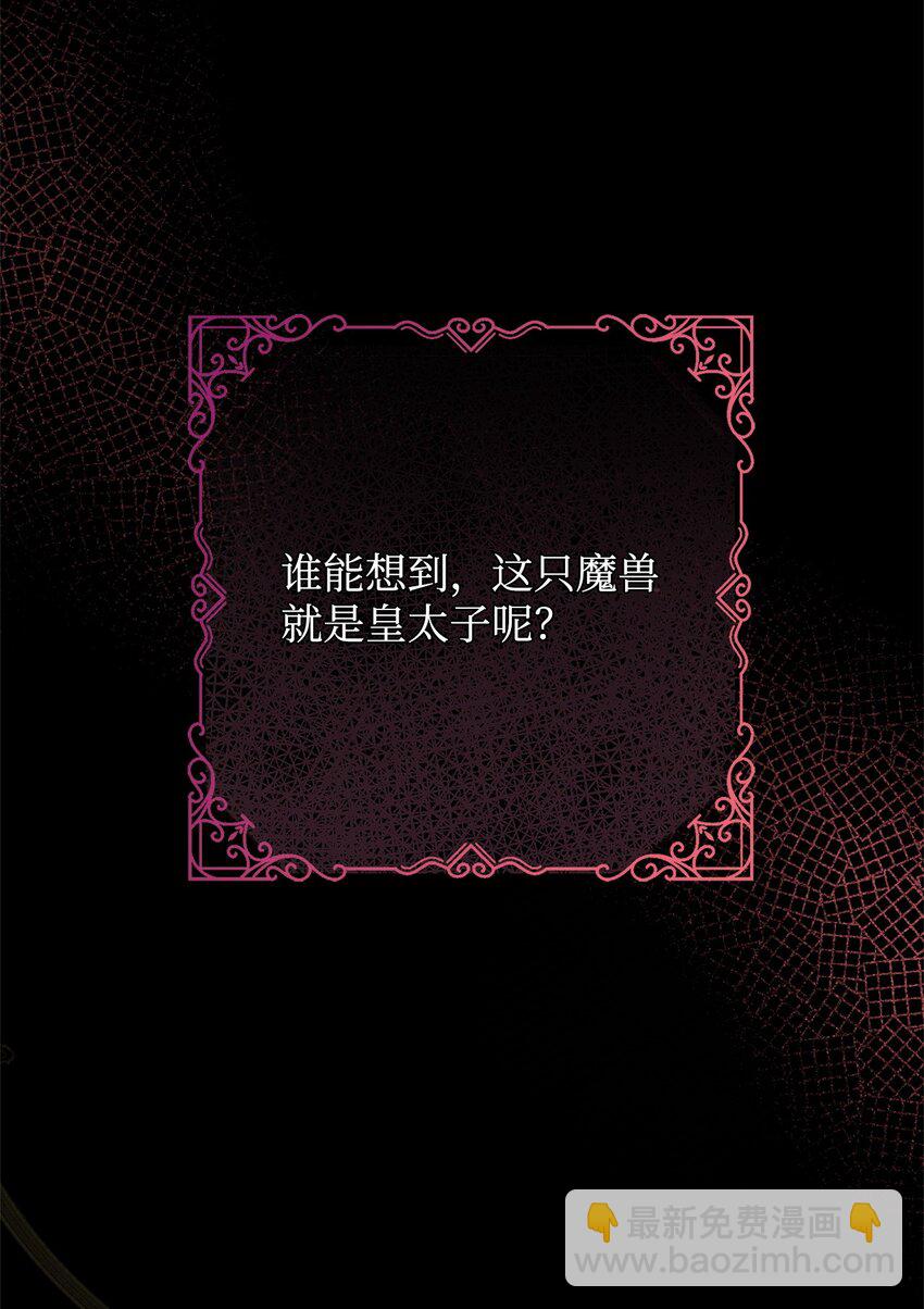 01 我与黑豹的初次见面(1/2)-第1话