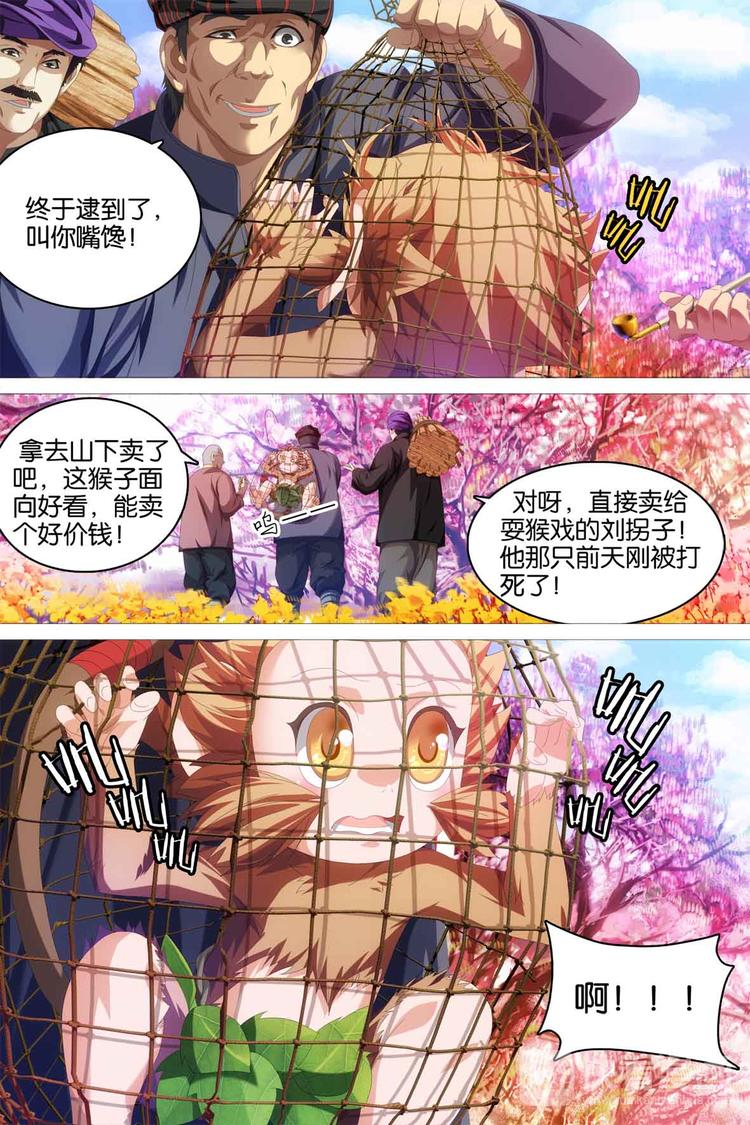 第5话-第5话