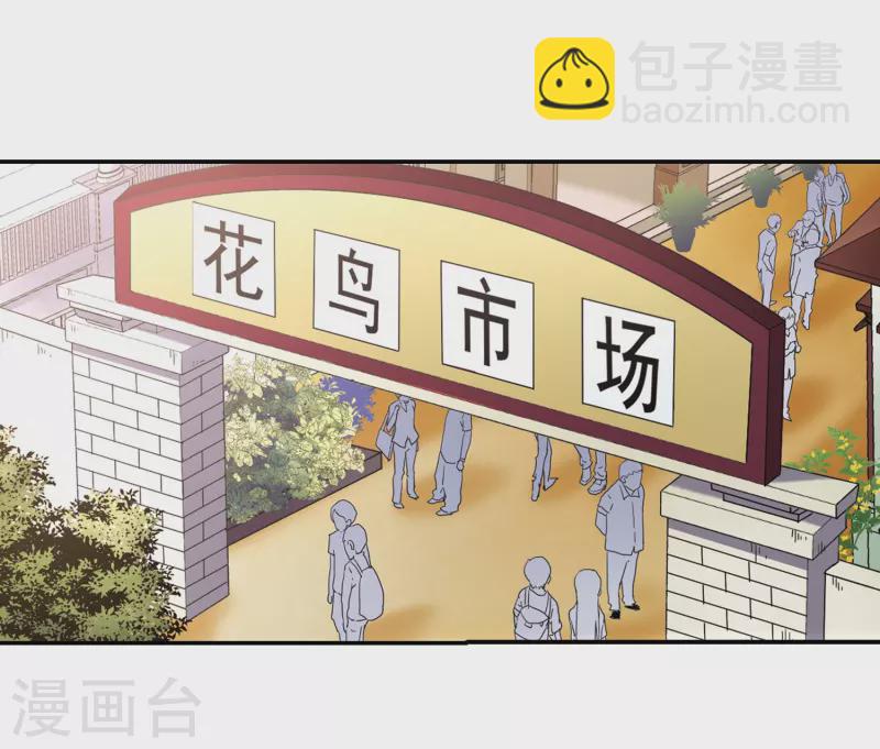 🍚寻找前世之旅 第339话 往事如沙3 第19页